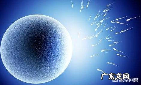 排卵期的第一天里,会有什么征兆或感觉?