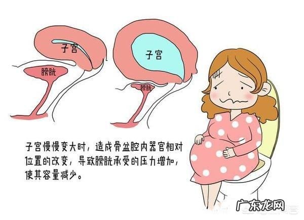 怀孕32周,光上厕所,是宫缩吗?宫缩有哪些表现?