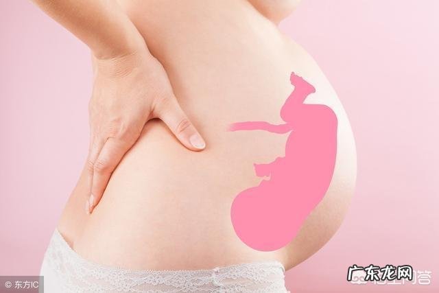 四个月的胎儿会动吗？