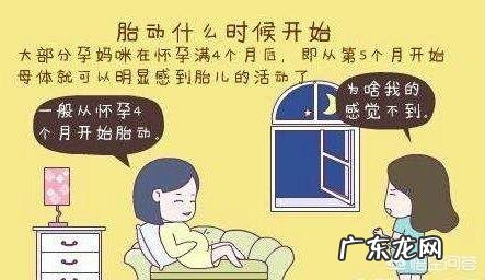 四个月的胎儿会动吗？