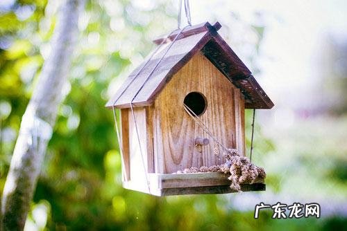 会阴该不该侧切?