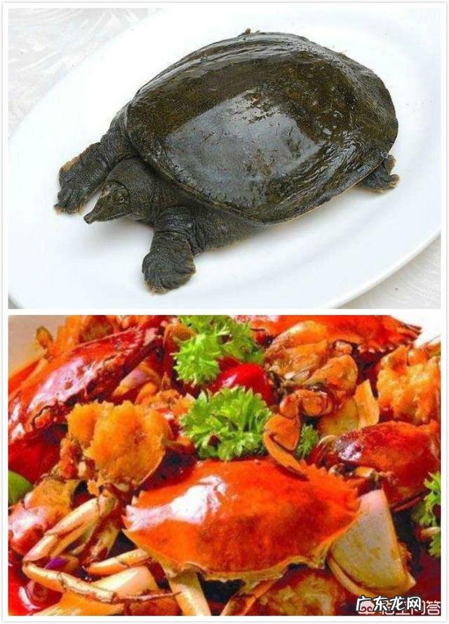 孕中期宝妈不可以吃什么,为什么?