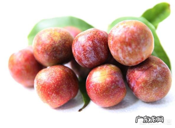 李子的营养价值有哪些?