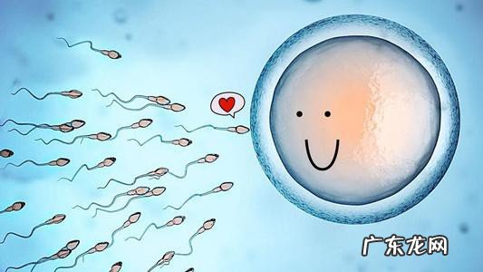 防止多精入卵的屏障