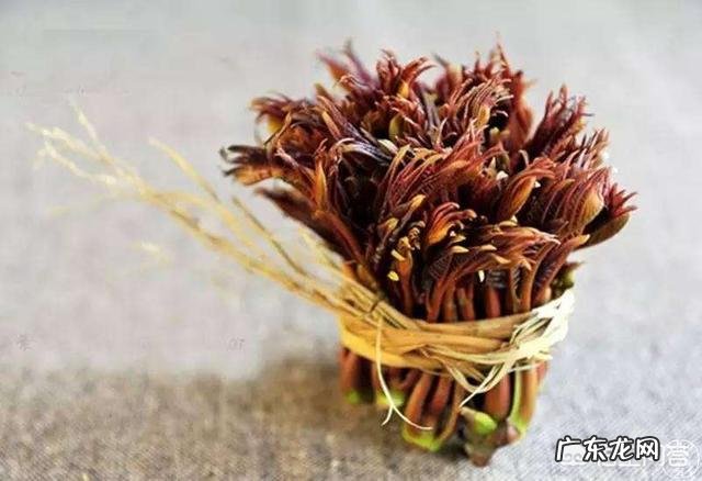 什么人不能吃香椿?