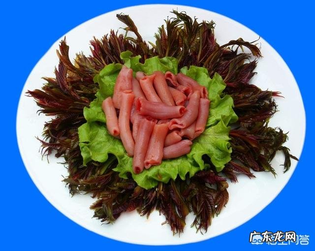 什么人不能吃香椿?