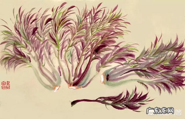 什么人不能吃香椿?