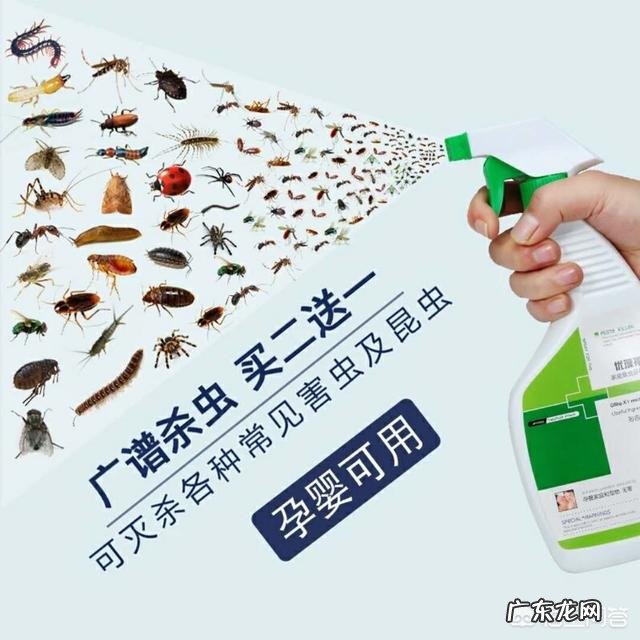 怎么快速有效的消灭蟑螂?