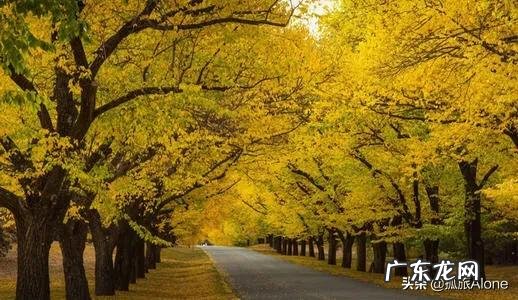 11月适合去哪个国家旅游?