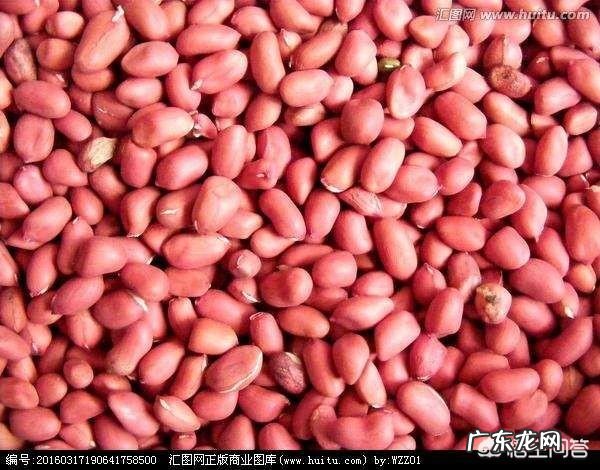 高血压和高血脂患者能吃醋泡花生吗？