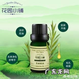 玫瑰果油买哪款好用?