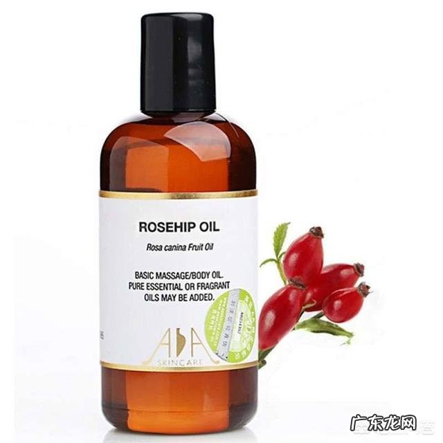 玫瑰果油买哪款好用?