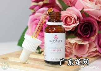 玫瑰果油买哪款好用?