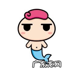 玫瑰果油买哪款好用?