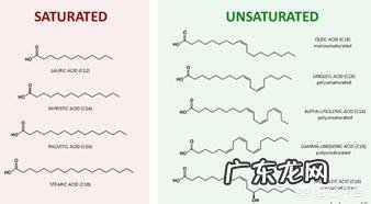 玫瑰果油买哪款好用?