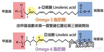 玫瑰果油买哪款好用?