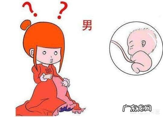 多吃碱性食物真的能生男孩吗?