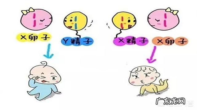 怀孕40天去做B超,可以检查出什么?