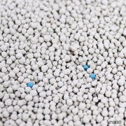 怎么处理用过的猫砂