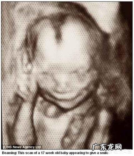 怀孕五个半月,胎儿会笑吗?为什么?