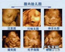 怀孕五个半月，胎儿会笑吗？为什么？