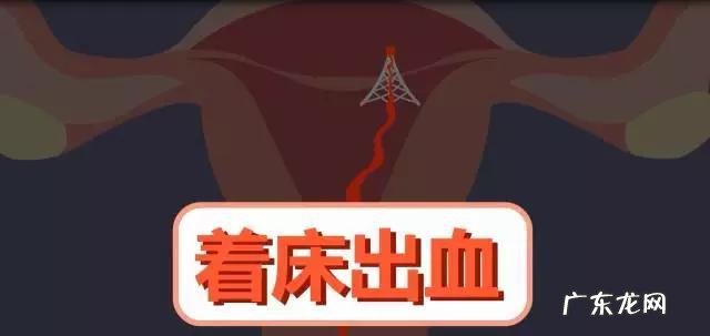 刚开始怀孕会有什么反应?