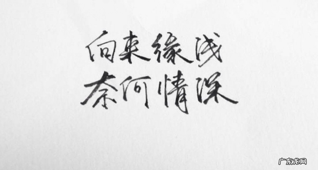 缘分清浅的句子