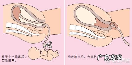 正常的分娩过程是怎样的？