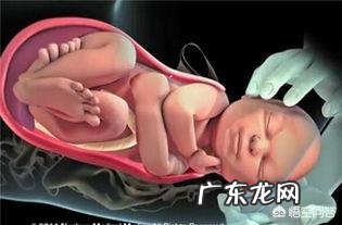 正常的分娩过程是怎样的？