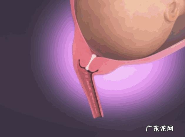 正常的分娩过程是怎样的？