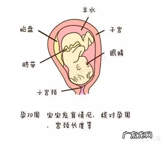 准妈妈怀孕各个月要注意什么？
