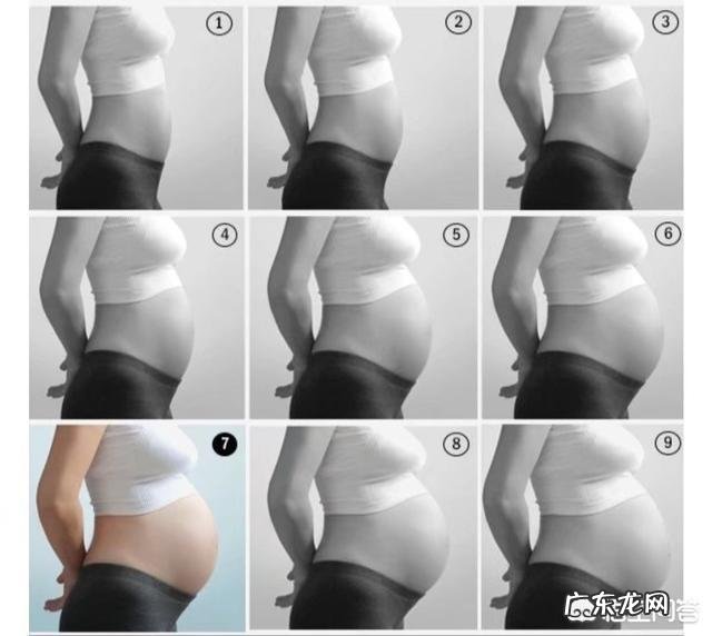 准妈妈怀孕各个月要注意什么？