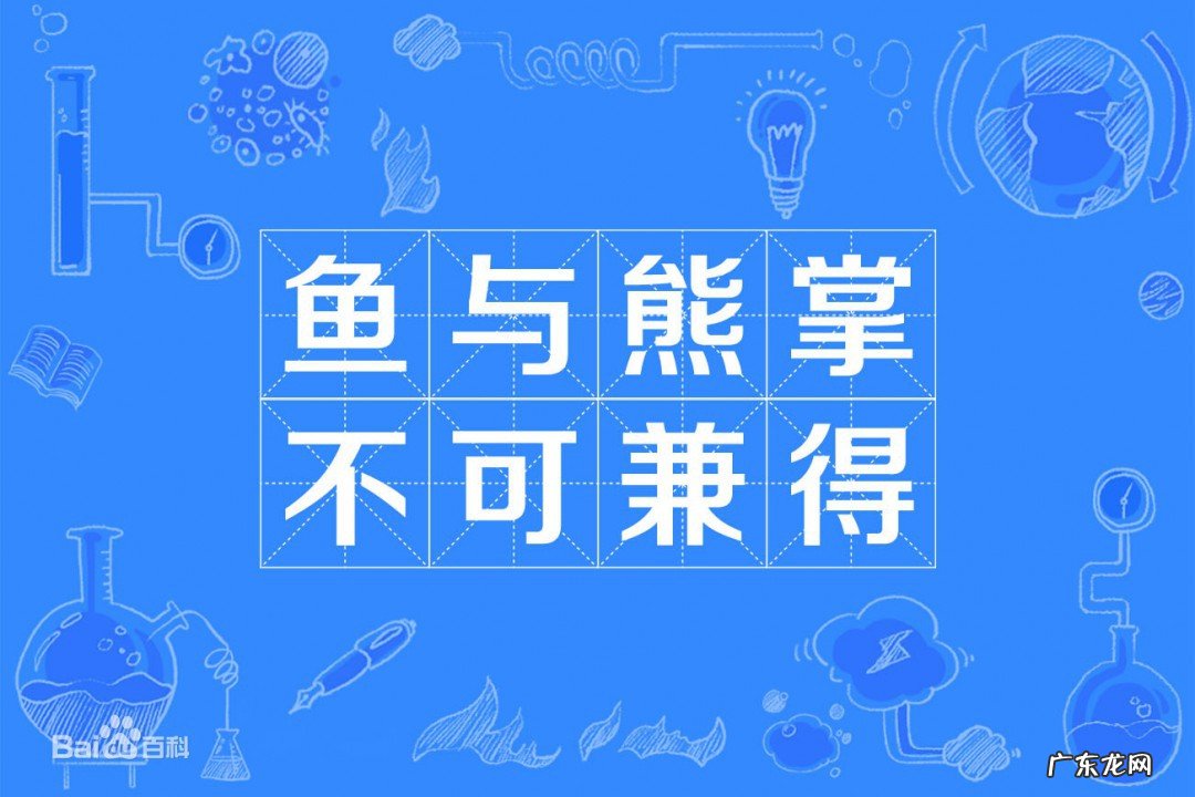 鱼和熊掌不可兼的意思