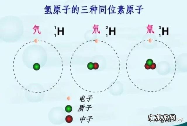 同位素标记法适用于哪些对象？