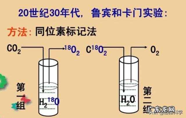 同位素标记法适用于哪些对象？