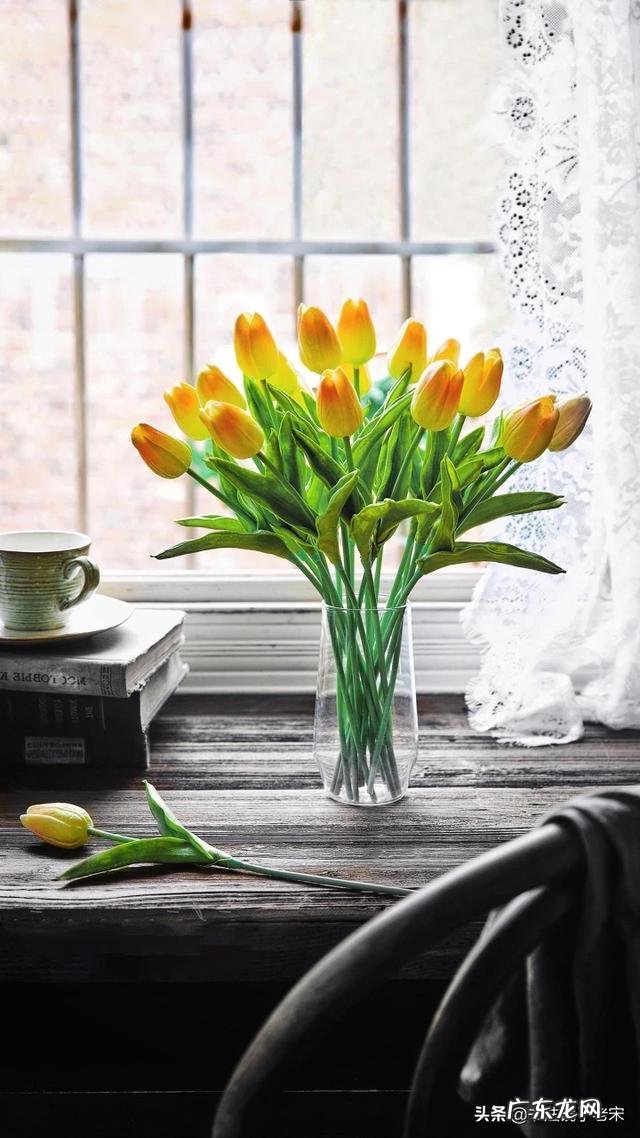 什么是最熟悉的陌生人?