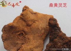 鸡血藤煲汤的方法