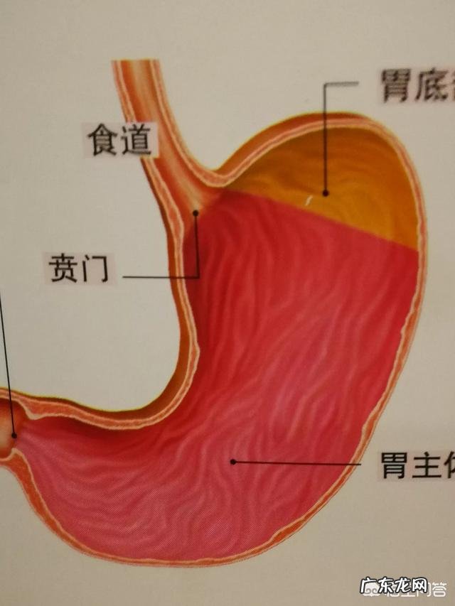 做普通胃镜有多痛苦,做完以后胃和嗓子会难受多久?