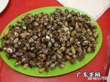 害虫洋辣子是什么？为什么卖这么贵？