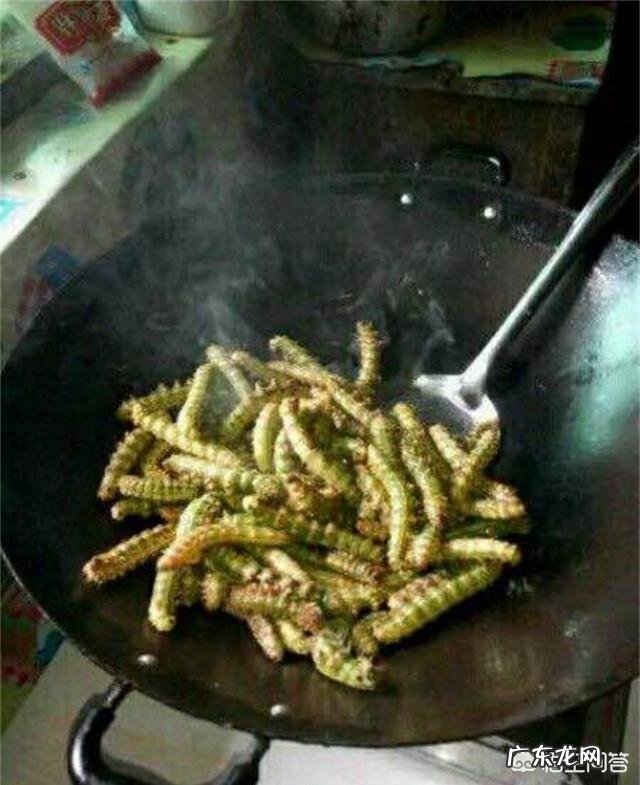 害虫洋辣子是什么?为什么卖这么贵?