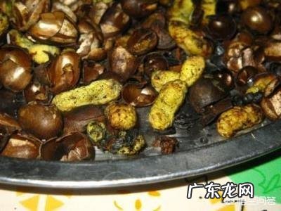 害虫洋辣子是什么？为什么卖这么贵？