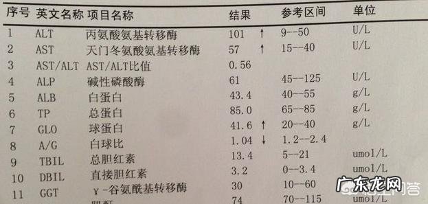 如何判断肝功能是否正常?肝功能检查中转氨酶、胆红素分别代表什么?
