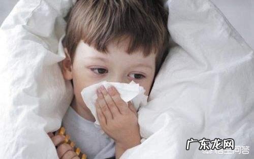 早教跟幼儿园有什么区别?