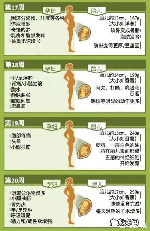 怀孕五个月了，胎宝宝和孕妈妈会有哪些新变化呢？