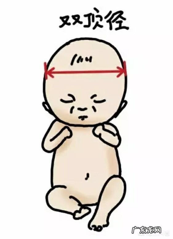足月胎儿双顶径是多少?