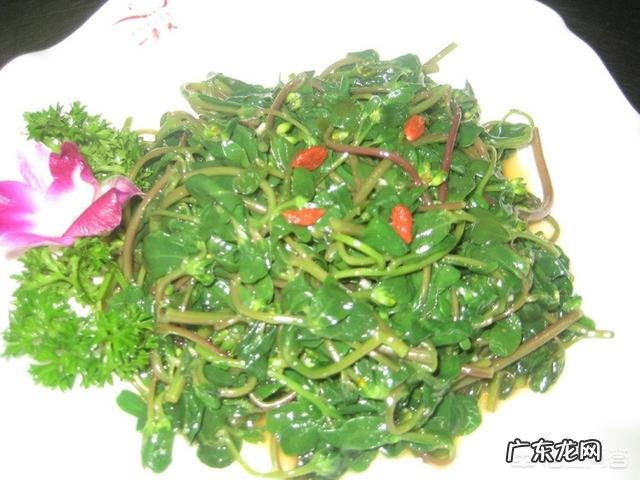 哪些蔬菜孕妇不能吃?