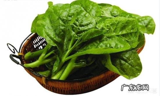 哪些蔬菜孕妇不能吃？