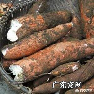 哪些蔬菜孕妇不能吃?
