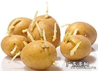 哪些蔬菜孕妇不能吃？