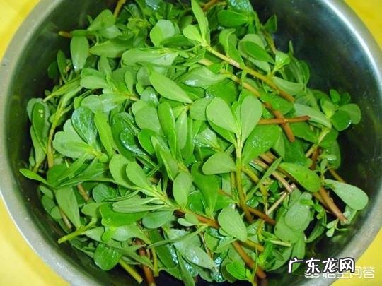 哪些蔬菜孕妇不能吃？